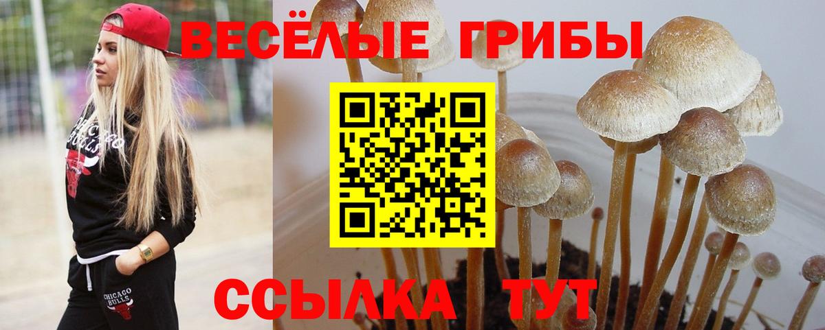 Галлюциногенные грибы GOLDEN TEACHER Южно-Сахалинск